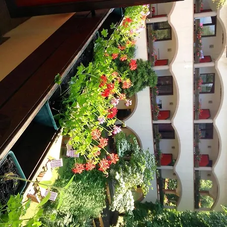 Hotel Mittagskogel Ledenitzen